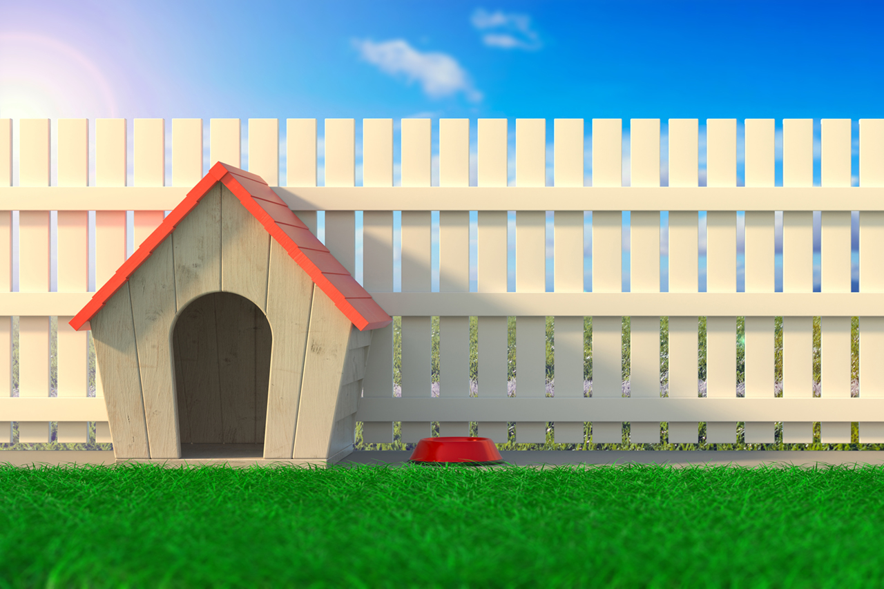 TerrAnimalia | Guarire la laminite