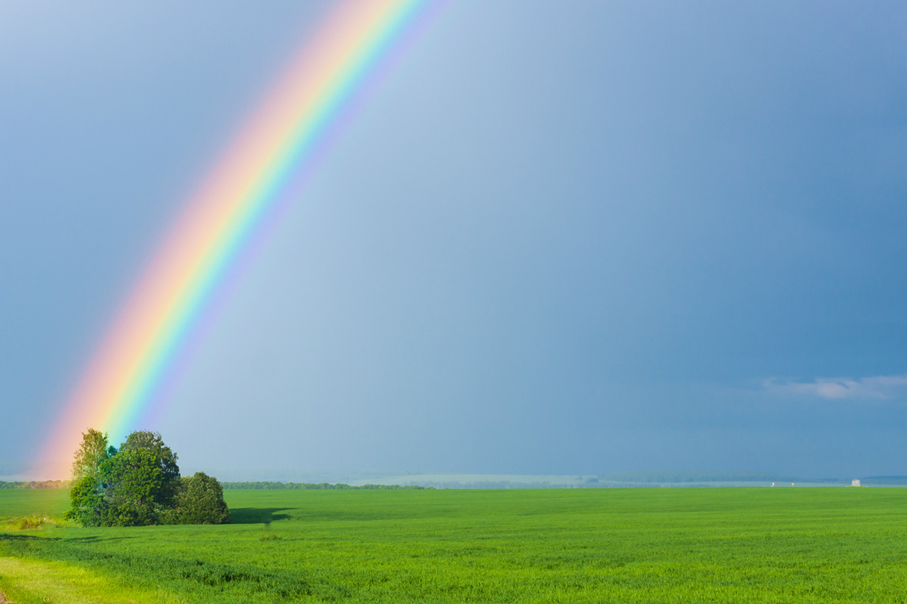 TerrAnimalia | Dalla cromoterapia alla cromopuntura