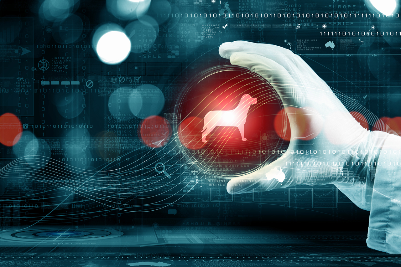 TerrAnimalia | Il futuro della salute animale