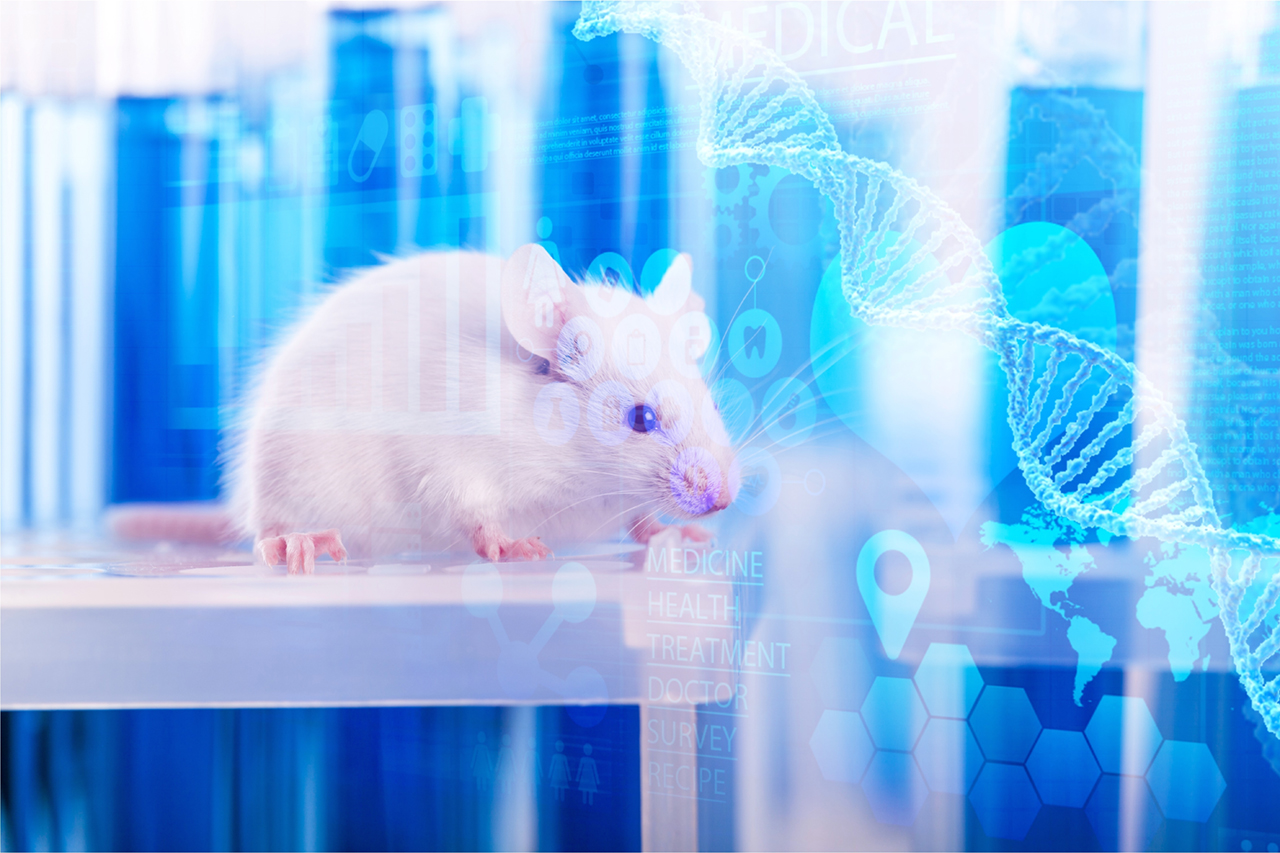 TerrAnimalia | Sperimentazione animale e psichiatria umana