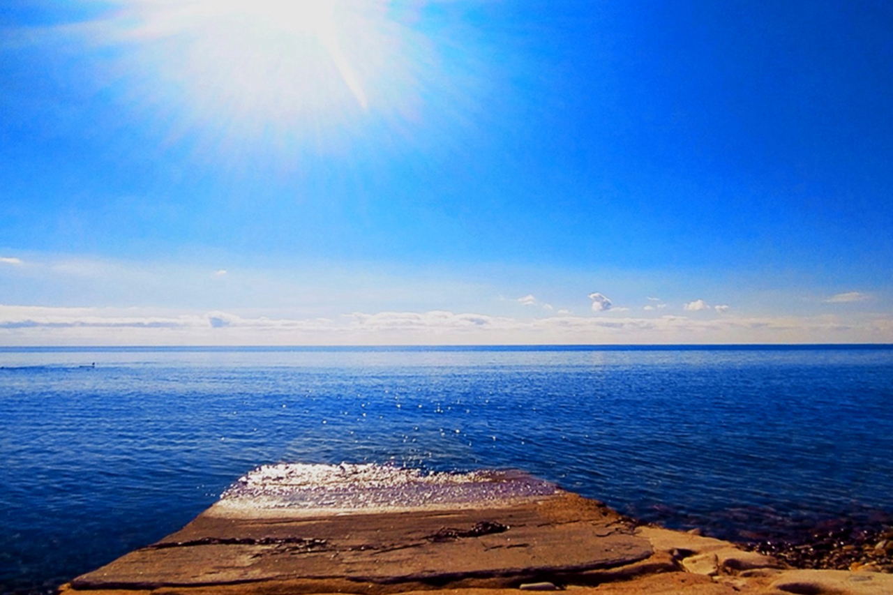 TerrAnimalia | Editoriale