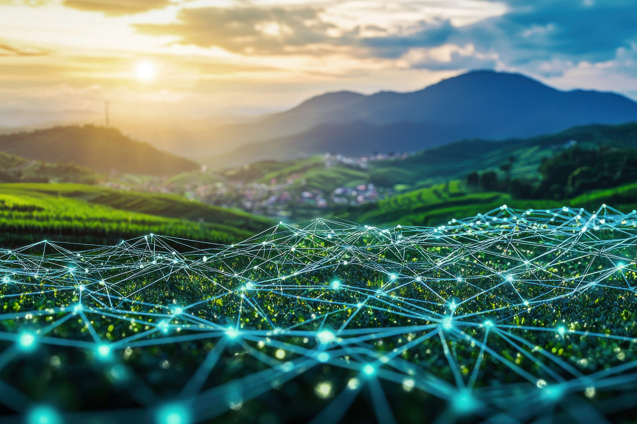 TerrAnimalia | Internet interspecie